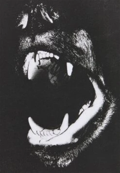 YOURTURN UnisexT-Shirt Con StampaWhite Donna T-shirt E Top YO12100BX-A11 2 YOURTURN UnisexT-Shirt Con StampaWhite Donna T-shirt E Top YO12100BX-A11 -Yourturn 58bb31f561364d32afd21d152180aa2a scaled